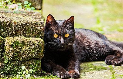 《堡垒之夜》漫威英雄库再填一员 尚气皮肤上线